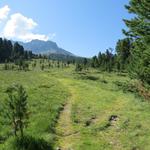 auf dem immer gut ersichtlichen und weiterhin einfachen Wanderweg, durchqueren wir Tamangur Dadora