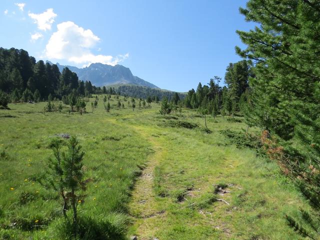 auf dem immer gut ersichtlichen und weiterhin einfachen Wanderweg, durchqueren wir Tamangur Dadora