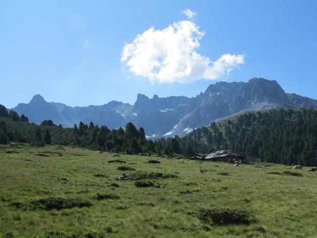 auf der Alp Valbella...