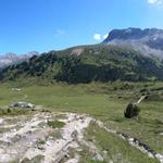 sehr schönes Breitbildfoto mit Blick auf Alp Astras und Piz Murtera