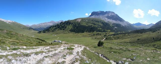 sehr schönes Breitbildfoto mit Blick auf Alp Astras und Piz Murtera