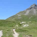 dieser Wanderabschnitt wird viel begangen. Das sieht man an den verschiedenen Wanderwegen