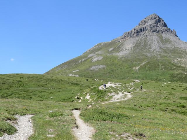 dieser Wanderabschnitt wird viel begangen. Das sieht man an den verschiedenen Wanderwegen