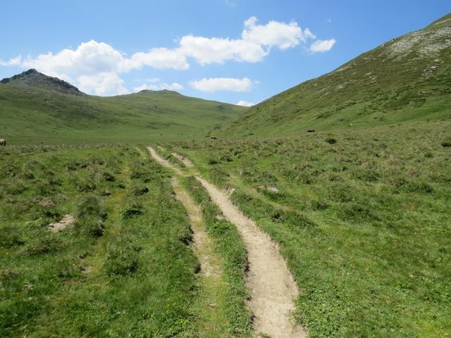 weiter geht unsere Wanderung Richtung Funtana da S-charl