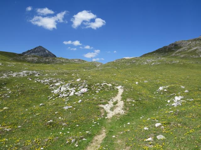 wir biegen rechts ab, und nehmen wie eingeplant die längere Variante unter die Füsse