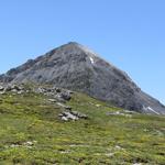 der "Schafberg" (Munt da la Bes-cha)