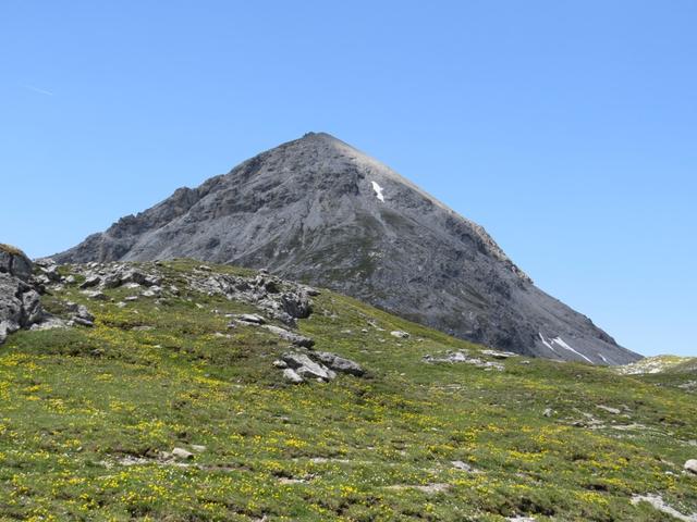 der "Schafberg" (Munt da la Bes-cha)