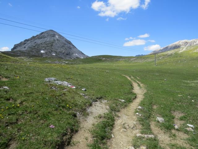 die längere Variante führt uns nun in das Valbella Tal hinein