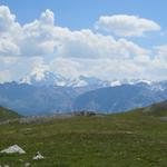 nicht nur der Käse ist wunderbar, sondern auch die Aussicht. Hier blicken wir ins Südtirol zum Ortler