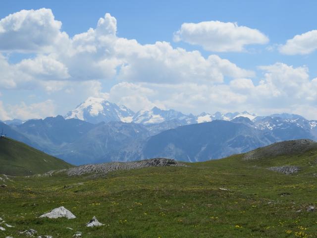 nicht nur der Käse ist wunderbar, sondern auch die Aussicht. Hier blicken wir ins Südtirol zum Ortler