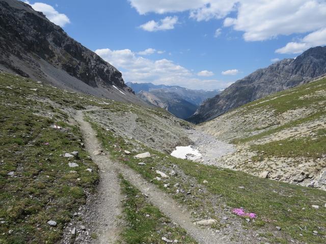 die grüne Matten verschwinden langsam aber sicher...