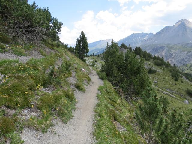 ...tauchen wir wieder in eine grüne Landschaft hinein...