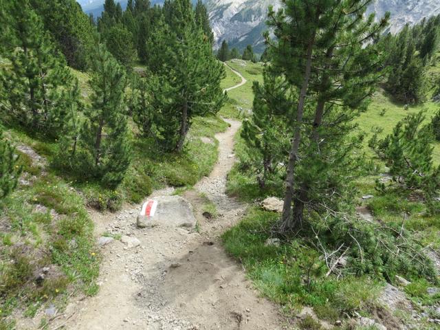 ...unserem Tagesziel dem Ofenpass entgegen