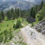 durch eine traumhaft schöne Berglandschaft...