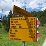 Wegweiser beim Ofenpass