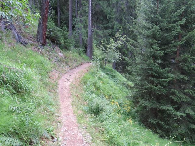 wir biegen aber rechts ab und laufen über einen Wanderweg auf der orographisch linken Talseite taleinwärts