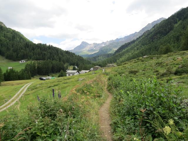 über Weiden geht es danach weiter zur Maiensäss von Suracqua 1759 M.ü.m.