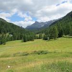 entlang der weiten Ebene wandern wir weiter Richtung Rifugio