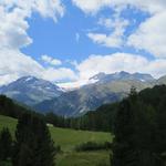 auf der anderen Talseite erkennen wir den Palügletscher. Am Fusse dieses Gletscher waren wir auch schon