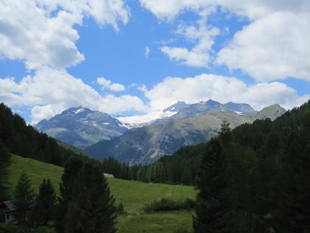 auf der anderen Talseite erkennen wir den Palügletscher. Am Fusse dieses Gletscher waren wir auch schon