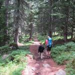 begleitet vom Rauschen des Baches wandern wir mit den Kinder weiter aufwärts