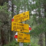 diverse Abkürzungen und Abzweigungen führen zum Rifugio Saoseo