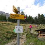 Wegweiser beim Rifugio Saoseo