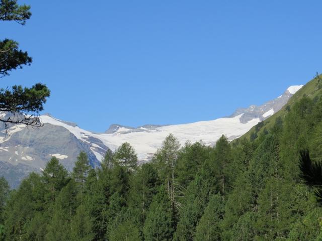 zum greifen nahe glitzert der Palü-Gletscher, der von der Brücke gut ersichtlich ist