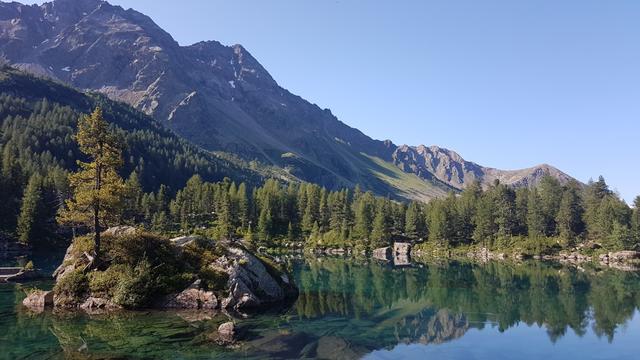 was für eine Pracht, glasklar und von Nadelwald umstanden