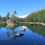 der Saoseo-See liegt spiegelglatt im lichten Wald