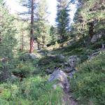 ...und beginnen mit dem Aufstieg zum Violasee, dem grössten See im Val da Camp