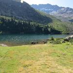 der Violasee ist der grösste See im Val da Camp