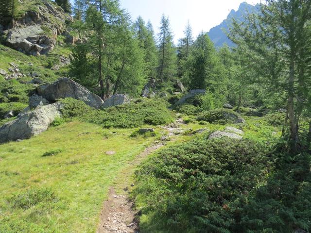 ...den längeren, wegtechnisch angenehmeren...