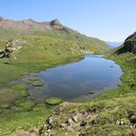 ...und laufen am namenlosen See vorbei