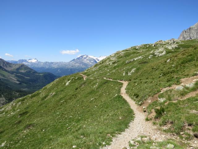 wir lassen die Grenze hinter uns und laufen zum Lagh da Val Viola zurück