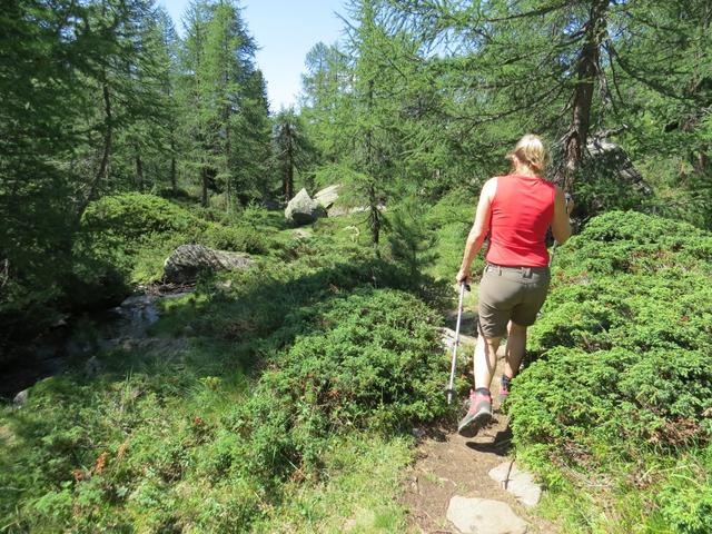 ein sehr schöner Wanderweg...