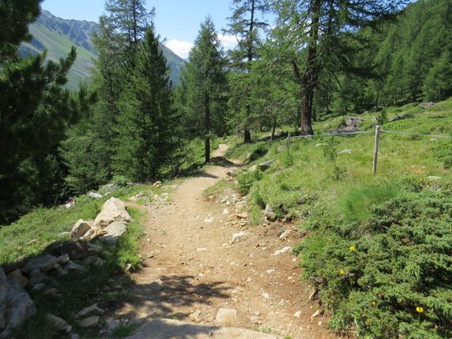 zusammen mit der Famile Erni und Fäsi, biegen wir in den breiten Wanderweg ein...