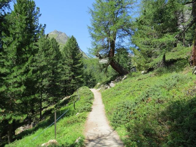 ...erreichen wir auf einfachem Weg die Weggabelung bei Punkt 2082 m.ü.M.