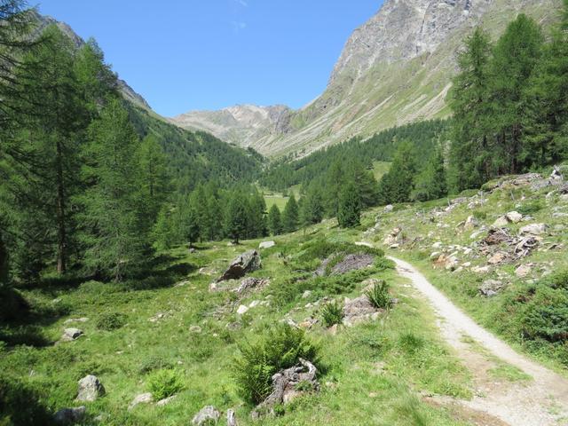 wir bleiben auf dem breiten Wanderweg und wandern geradeaus weiter...