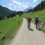 auf der ungeteerten Strasse laufen wir über die sonnige Talebene,...