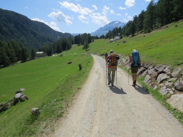 auf der ungeteerten Strasse laufen wir über die sonnige Talebene,...