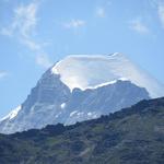 zum Abschluss ein Blick auf den Piz Palü Ostgipfel