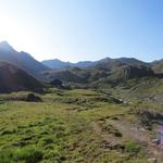 über Alpweiden und gestuftes Gelände wandern wir nun in das weite Hochtal hinein