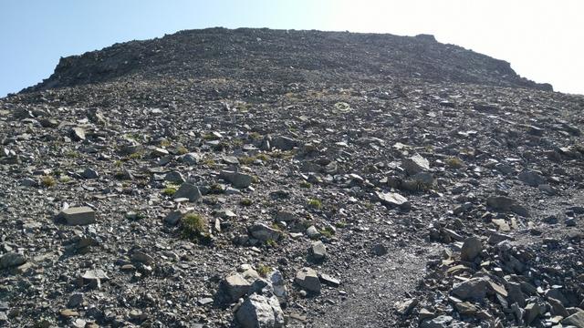 wir lassen die Rucksäcke bei Wegweiser liegen, und nehmen den Gegenanstieg unter die Füsse