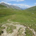 über Alpweiden geht es nun auf einem einfachem Wanderweg weiter Richtung Heidelbergerhütte