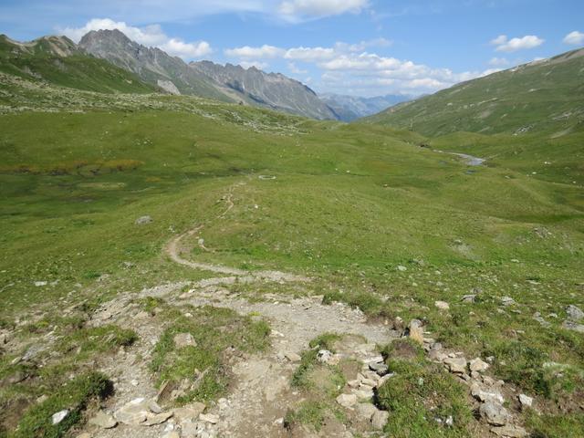 über Alpweiden geht es nun auf einem einfachem Wanderweg weiter Richtung Heidelbergerhütte