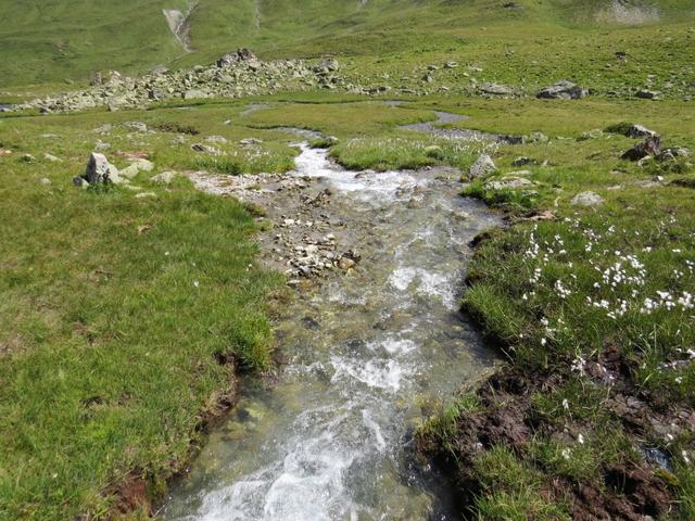 ...in die Aua Naira, die wir bis zur Heidelbergerhütte folgen werden