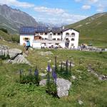 unsere sehr schöne Bergtour geht nun zu Ende, wir haben die Heidelbergerhütte 2262 m.ü.M. erreicht