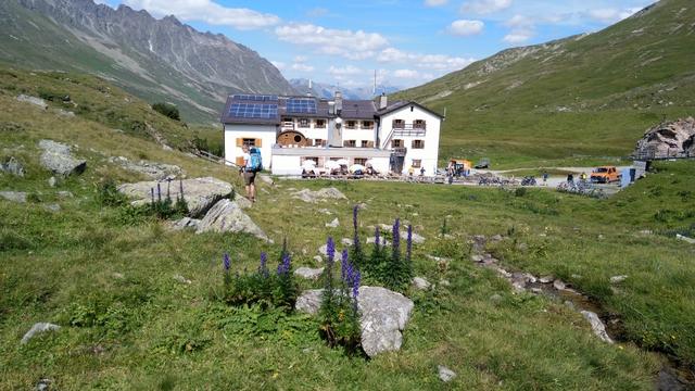 unsere sehr schöne Bergtour geht nun zu Ende, wir haben die Heidelbergerhütte 2262 m.ü.M. erreicht