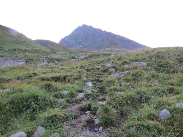 ...steigen wir über Alpweiden bergauf in östlicher Richtung